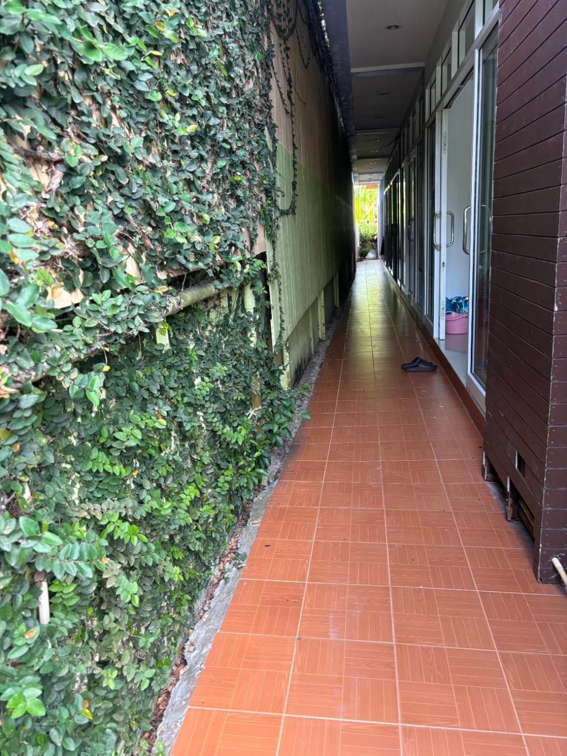 Hotel Rung Phangan Баан Тай Екстериор снимка